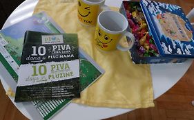 Apartman Pavle