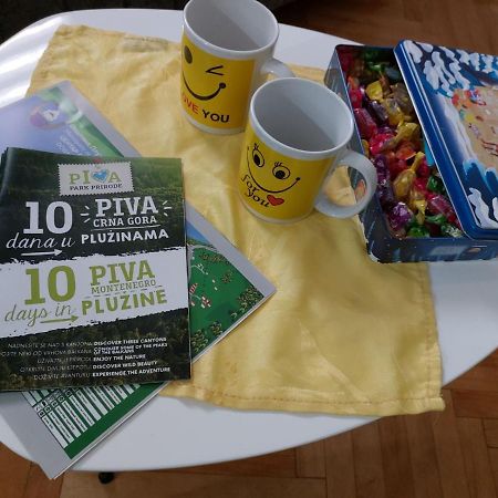Apartman Pavle Plužine Zewnętrze zdjęcie