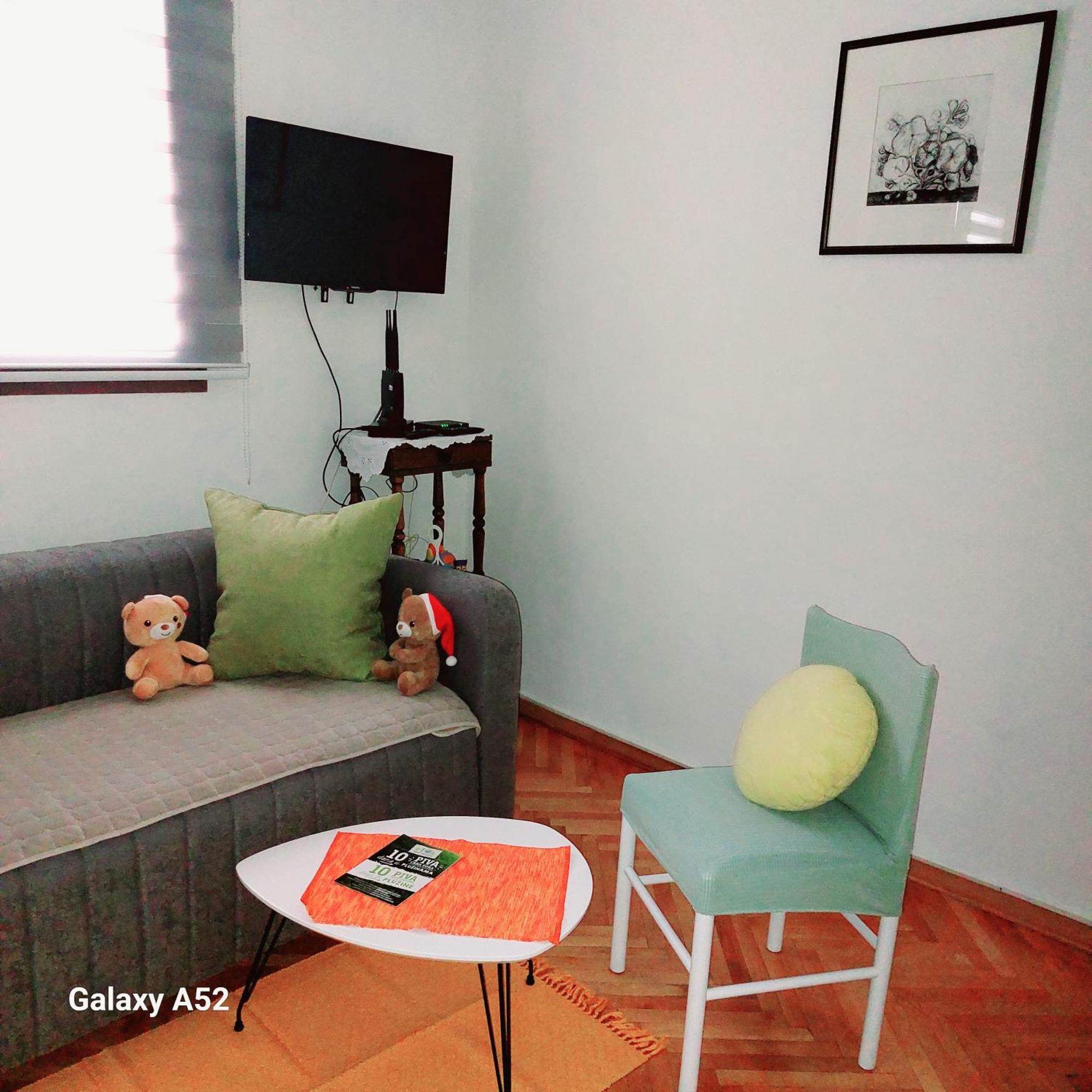 Apartman Pavle Plužine Zewnętrze zdjęcie