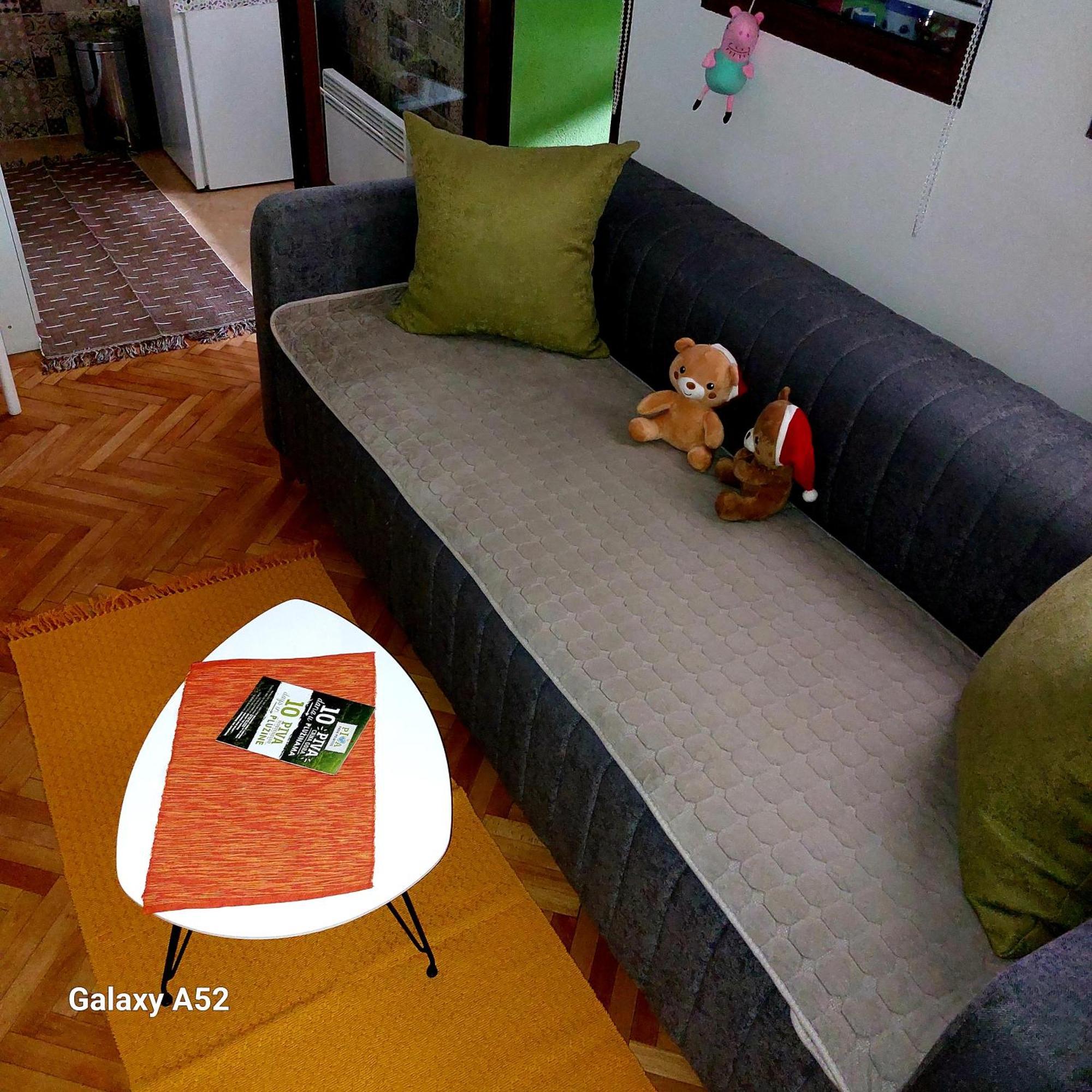 Apartman Pavle Plužine Zewnętrze zdjęcie