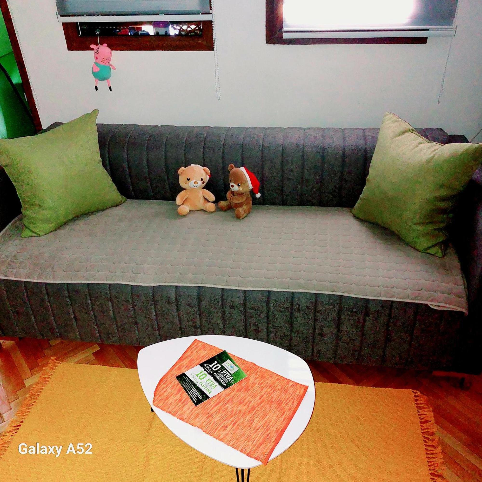 Apartman Pavle Plužine Zewnętrze zdjęcie